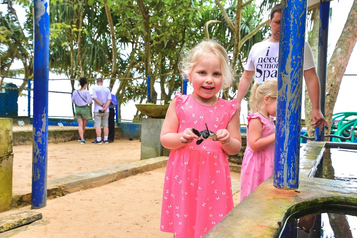 turtle hatchery conservation